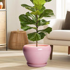 Ceramicfor 10 Inch Plant Pot - Ceramic Planter for Indoor Plants, Glaze Modern Round Planter with Drainage Hole and Saucer, Gifts for Plant Lovers, Office Patio Home Room Decor, Pink