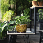 SQOWL Ceramic Flower Pots - 8 inch Ceramic Planter for Indoor Plants, Decorative Plant Pots with Drainage Hole and Saucer, Round Planter Outdoor, Porch Backyard Decor, Housewarming Gifts, Yellow