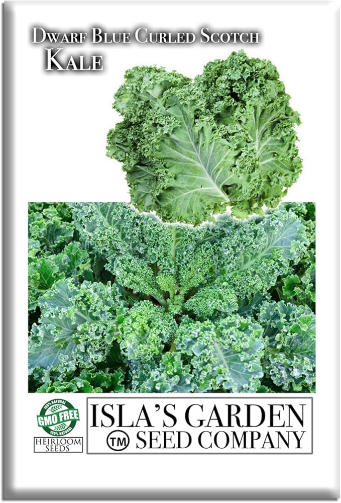Dwarf Blue Curled Scotch Vates Kale Seeds (Brassica oleracea) – 750+ Non-GMO & Heirloom Seeds by Isla’s Garden Seeds, Classic Cool-Season Leafy Green for Gardens, Containers & Microgreens, Gift Idea