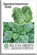 Dwarf Blue Curled Scotch Vates Kale Seeds (Brassica oleracea) – 750+ Non-GMO & Heirloom Seeds by Isla’s Garden Seeds, Classic Cool-Season Leafy Green for Gardens, Containers & Microgreens, Gift Idea