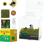 DIY Moss Terrarium Kit, 4 * 4 * 4 inch Acrylic Cube Mini Garden with Live Star Moss, Soil, Paid Pooping-Craft Kit for Adults and Teens, Relaxing Desk Decor & Unique Gift for Home or Office