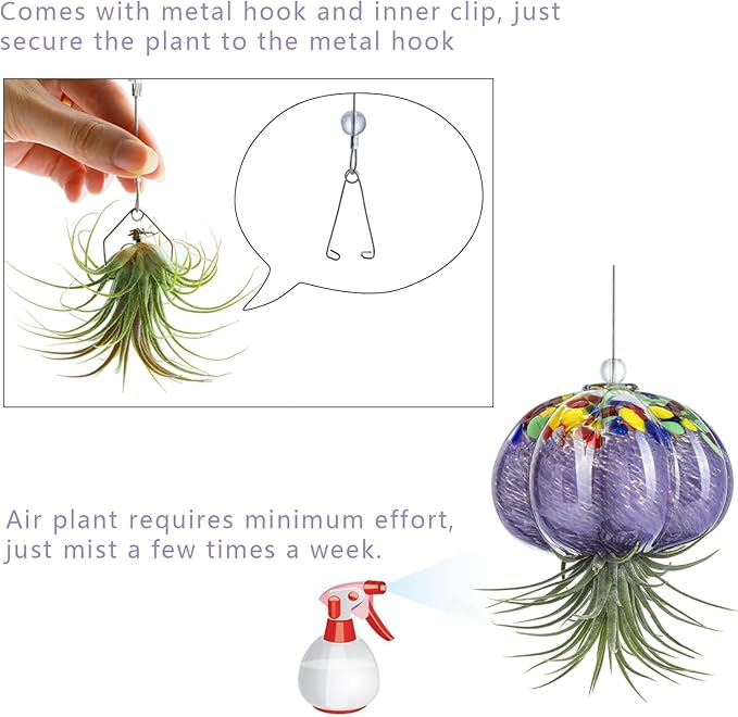 H&D HYALINE & DORA Hanging Hand Blown Art Glass Jellyfish Air Planter Terrarium Decor for Garden Porch Windowsill (No Plants)