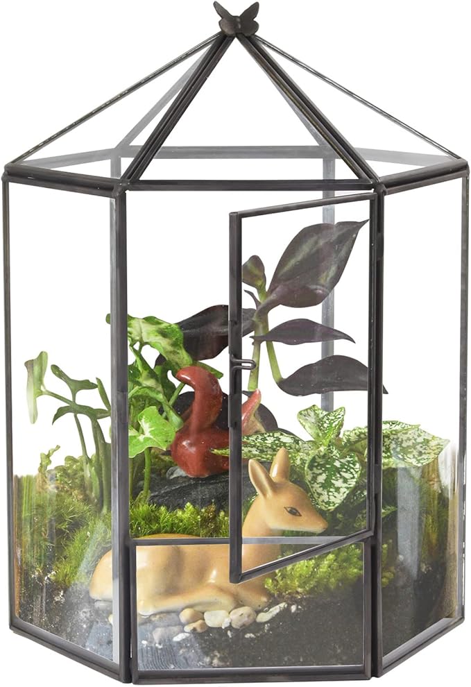 ELEGANTLIFE Glass Geometric Plant Terrarium,Succulent & Air Planter for Home Garden Office Decoration,No Plants(Black Hexagonal)