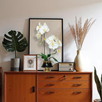 CXGS Orchids Artificial Flowers Realistic Fake Flowers in Ceramic Vase 20" White Faux Plants Indoor Lifelike Soft PU Phalaenopsis for Centerpiece Hotel Home Decor