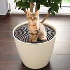YGAOHF Soil Cover for Indoor Plants, 2 Pcs 20.8" and 3 Pcs 11.8" Plant Pot Grid Cover Protectors from Animals with Stakes, Plastic Cuttable Flower Cover for Cat Digging Stopper, Baby Safety, Brown