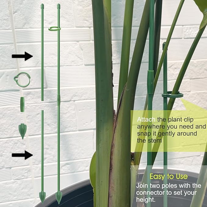 RIFNY Plant Stakes for Indoor Plants, 12 Inch Plant Support Stakes with Clips, Tall Adjustable Plant Sticks for Indoor Monstera Tomato Orchid Potted Plants Flower (6 PCS, Green)