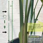 RIFNY Plant Stakes for Indoor Plants, 14 Inch Plant Support Stakes with Clips, Tall Adjustable Plant Sticks for Indoor Monstera Tomato Orchid Potted Plants Flower (10 PCS, Green)