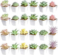 Tiita 24 Set Artificial Faux Succulents in Pots Fake Plants Plastic Arrangement Planter Small Mini Tiny Decoration for Home Office Desk Window Sill Bathroom Bedroom Outdoor Indoor