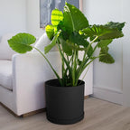Bloem Mathers Round Planter with Saucer Tray: 12" - Black - Modern Design, Durable Plastic Pot, Removable Saucer, for Indoor & Outdoor Use, Gardening, 5.8 Gallon Capacity