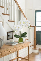 White Orchids Artificial Flowers 16.1" Faux Orchids Plant in Pot Fake Flower Arrangements with Glass Vases Small White Centerpieces for Kitchen Dining Room Tables Bathroom Nightstand Shelf Desk Decor