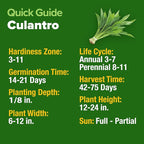 HOME GROWN Culantro Seeds - 720+ Heirloom Herb Seeds for Planting, Slow-Bolting, Flavorful Cilantro Alternative, Great for Outdoor Herb Gardens (Eryngium foetidum)