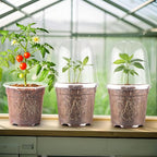RooTrimmer 6 Inch Clear Nursery Pots with Humidity Dome, 15 Pack Durable Seed Starting Pot with Drainage Holes, Transparent Plastic Plant Seedling Pots for Indoor Gardening Plants
