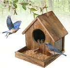 DIY Wooden Hummingbird House Assembly Kit for Outside Hanging, Ideal Bluebird House for Outdoors with Transparent Viewing Window, Built-in Bird Feeder, Gift for Bird Lovers, Great Garden Decoration