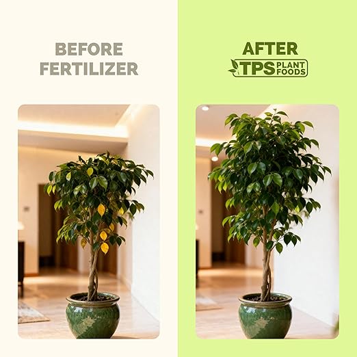 Ficus Tree Fertilizer – Liquid Plant Food for Lush Foliage, Stronger Roots & Healthy New Growth, 1 Gallon