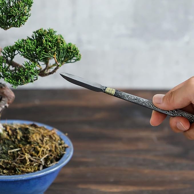Wazakura Carbon Steel Spear Shaped Bonsai Jin Chisel 7.2 inches (185 mm) Made in Japan, Deadwood Carving Tool, Japanese Shari Bark Scraper, Detail Woodworking Gouge - Silver