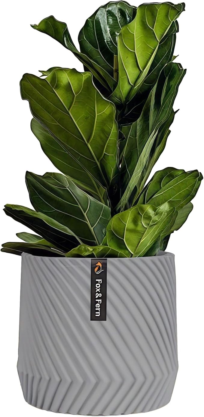 Fox & Fern Large 12 Inch Planter — Premium Polystone Gray Plant Pot with 3D Texture and Drainage Plug - 12 Inch Pots for Plants Indoor - Large Planter for Indoor & Outdoor Plants