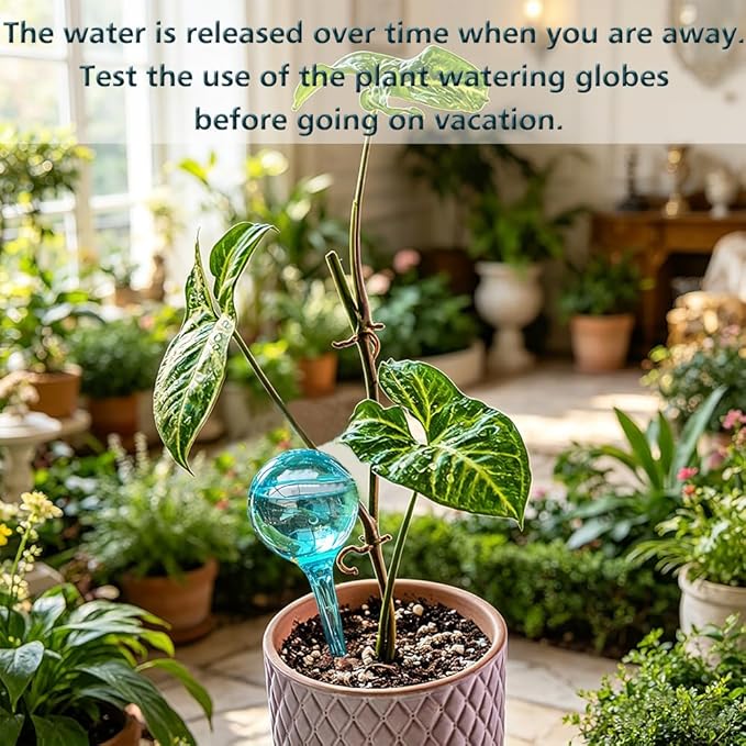 10pcs Plant Self Watering Globe Stakes, Plant Watering Stakes Automatic Plant Watering Bulb System Spikes, Flower Automatic Watering Device, Garden Self Waterer for Indoor Outdoor Plant
