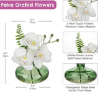 White Orchids Artificial Flowers Faux Orchids Arrangement in Light Green Glass Vases Set of 3 Real Touch Phalaenopsis Orchid Flowers Small Fake Orchid Centerpiece for Dining Room Table