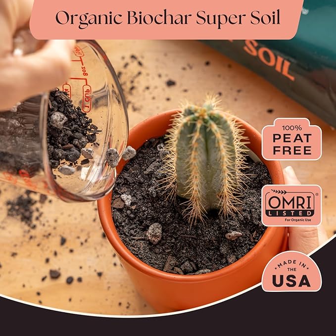 Rosy Soil Cactus and Succulent Potting Soil Mix for Houseplants - Fast Draining Organic Potting Soil for Succulents, AloeVera, Indoor Plant - Root Boosting for Drought Tolerant Growth, Pack of 2