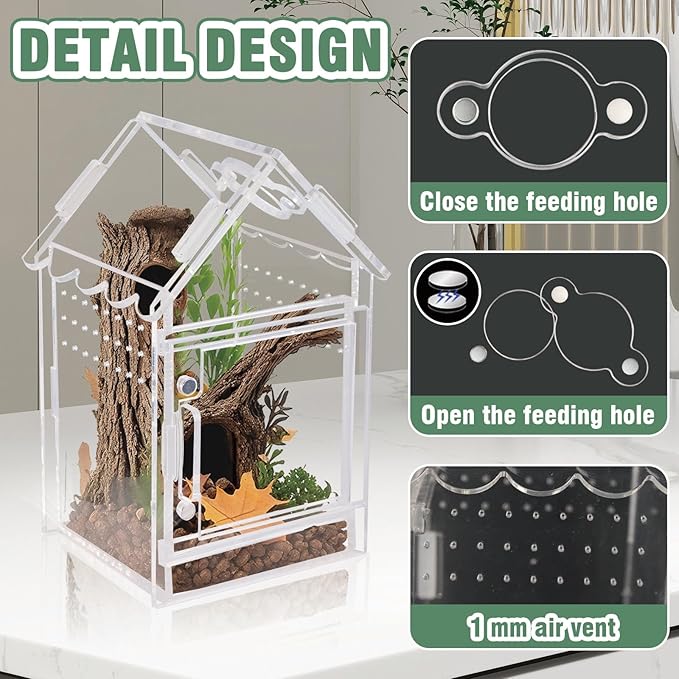 Acrylic Terrarium Kit for Jumping Spiders & Tarantulas - 3.15"x3.15"x5.6" Spider Enclosure with Magnetic Feeding Door & Secure Latch - Ideal Reptile Cage, Praying Mantis Habitat, Bug Terrarium