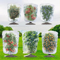 Fruit Tree Netting 6Pack 4x5 FT with Drawstring - Easy Install Plant Protection Cover, Reusable Garden Mesh Bag for Blueberry Bushes/Tomato - Blaock Birds/Insect/Squirrels