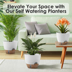QRRICA Self-Watering Plant Pots with Water Level Indicator, Drainage Holes & Saucers – 12/10/9 Inch Large Plastic Planter Set for Indoor & Outdoor Plants (White)