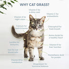 The Cat Ladies Cat Grass Kit with Rustic Wood Planter, Seed and Soil. Easy to Grow for Indoor or Outdoor Cats, Dogs and Other Pets. Prevent Hairballs and Aid Digestion