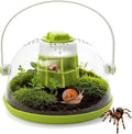 Snail Terrariums Breeding Box, Plastic Round Snail Habitat, Clear Feeding Box with Air Vents & Removable Base, Small Insect Feeding Bin for Beetles Spiders Ladybugs, Starter Terrarium Kit