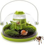 Snail Terrariums Breeding Box, Plastic Round Snail Habitat, Clear Feeding Box with Air Vents & Removable Base, Small Insect Feeding Bin for Beetles Spiders Ladybugs, Starter Terrarium Kit