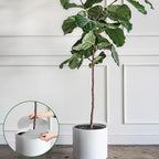4 Pcs Plant Pot Grids, 11.8 Inch Cuttable Plant Pot Soil Covers Protectors Indoor Outdoor Plants Pots Soil Guard for Garden Plants Protector Ring for Landscaping