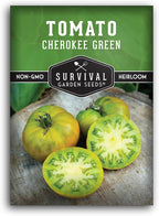 Cherokee Green Tomato Seeds for Planting – Heirloom Green Tomato Variety with Rich Sweet Flavor – Large Non-GMO Beefsteak Tomatoes for Slicing and Salads – Survival Garden Seeds (1 Pack)