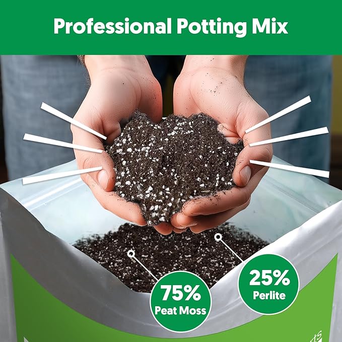 Succulent Cactus Potting Soil Mix (2 qt), All-Purpose Garden Potting Mix for Indoor Outdoor Plants, Quick Drain Houseplant Orchid Bonsai Perlite Soil, Ready-to-Use, Resealable Bag Design