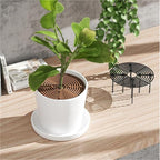 Plant Pot Grids 4PCS Plant Pot Soil Guard with Nails Grid Flower Cover Baby Safety Mouse Protector Repel Cats(Black Round 30cm)