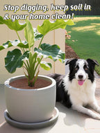 ANPHSIN 3 Plant Pot Grid Cover Protectors from Animals - 20.8" Dia Cuttable Flower Pot Soil Cover with 36 Stakes, Keep Cats Out of Potted Plants, Indoor Cat Digging Stopper, Baby Safety