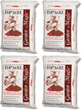 Michigan Peat 4 Pack Garden Magic Indoor and Outdoor Organic Planting Potting Topsoil Mix Blend with Moisture Retention, 40-Pound Bag