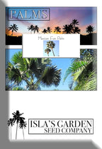 Mexican Fan Palm Tree Seeds, Washingtonia Robusta, Mexican Washingtonia, 15 Premium Quality Tree Seeds, Exotic Palm Tree, 60-80% Germination, (Isla's Garden Seeds)
