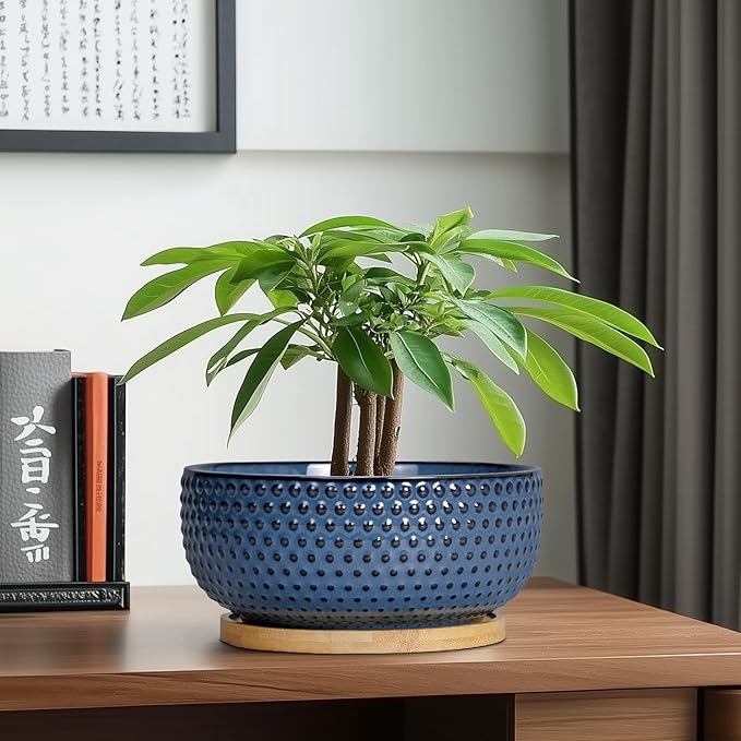 Bonsai Pots - 8 Inch Ceramic Pots for Succulent Plants & Bonsai Tree, Planter with Drainage Hole and Saucer, Modern Round Decorative Flower Planters, House Decor, Gifts for Women Man, Blue