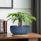 Bonsai Pots - 8 Inch Ceramic Pots for Succulent Plants & Bonsai Tree, Planter with Drainage Hole and Saucer, Modern Round Decorative Flower Planters, House Decor, Gifts for Women Man, Blue