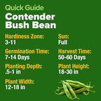 HOME GROWN Contender Bush Bean Seeds 56+ Heirloom Non-GMO, High Germination, Stringless Green Beans for Planting, Early Harvest, Emergency Food Supply, Fresh Eating & Canning (Phaseolus vulgaris)