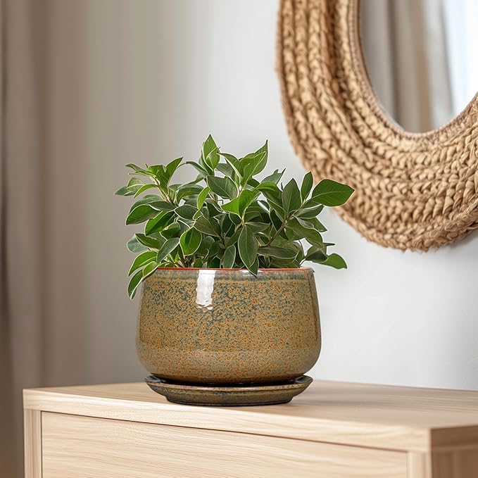 G EPGardening Ceramic Planters - 9 Inch Ceramic Pots for Plants Indoor Outdoor, Round Planter with Drainage and Saucer, Modern Indoor Flower Pots, House Room Decor, Gift for Women Men, Speckled Brown