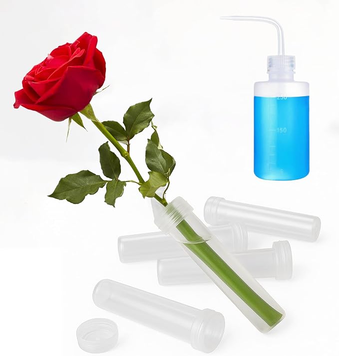 50 pcs Floral Water Tubes with 250ml Watering Can