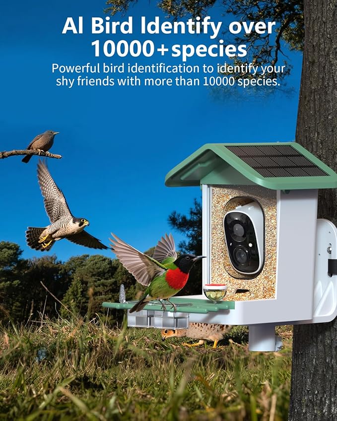 Bird Feeder with Camera, 2K Smart BirdCamera with Solar Powered, AI Identify Birds Species, Instant Arrival Alerts, 2.4Ghz WiFi Bird House for Outdoors, Ideal Gift for Family and Bird Lovers (Green)