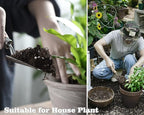 Doter Houseplant Potting Mix, Fertilized, Perlite Soil for All Types of Indoor House Plants and Tropical Plant 1 qt