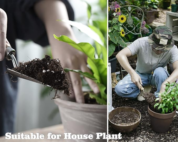 Doter Houseplant Potting Mix, Fertilized, Perlite Soil for All Types of Indoor House Plants and Tropical Plant 1 qt