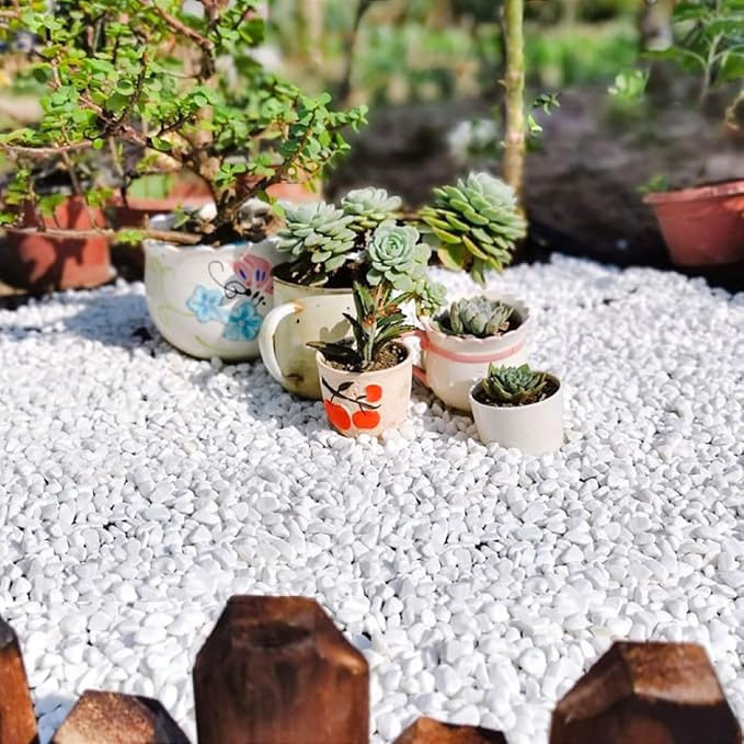 YISZM 10LB Succulent and Cactus Gravel, 1/5 Inch White Natural Decorative Polished Pebbles for Landscaping, River Rocks for Plants, Vases, Aquariums, Terrarium and Outdoor Gardening