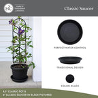 The HC Companies 8 Inch Classic Round Plant Saucer, Lightweight UV-Resistant Plastic Outdoor & Indoor Flower Pot Tray, 4-Pack Plant Pot Trays for Garden & Home Decor, Black