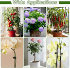 Plant Clips Orchid Clips 100 Pcs Plants Support Clip Flower and Vine Clip Plant Garden Clipss for Climbing Plants Supporting Stems Vines Stalks Grow Straight Upright Indoor Outdoor Orchid Accessories
