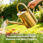 Watering Can for Outdoor&Indoor Plants，1 Gallon Metal Watering Can with with Removable Spout，Galvanized Steel Garden Flower Water Can Plant Watering Pot with 2 Handles，Gold