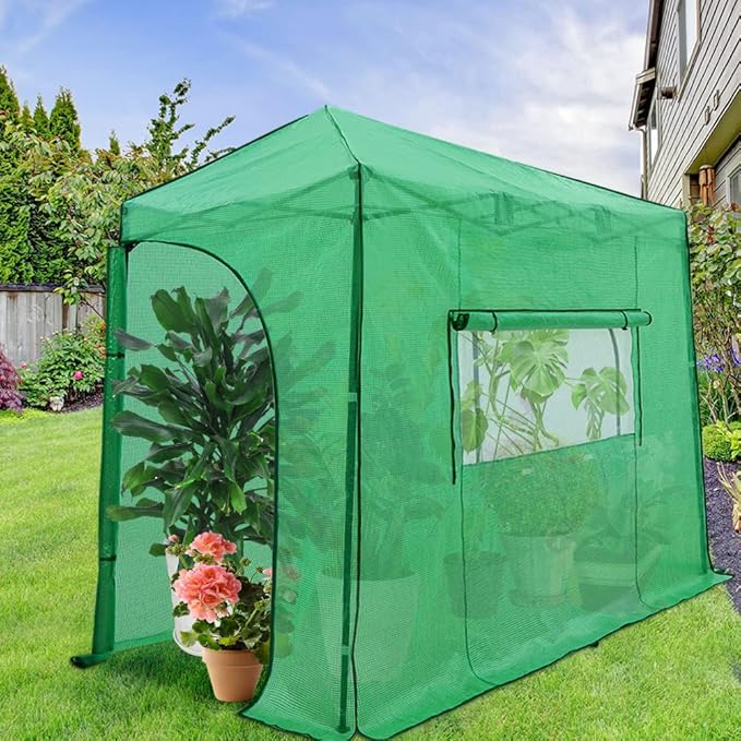 EAGLE PEAK 10x5 Portable Walk in Greenhouse, Pop Up Indoor Outdoor Greenhouse, Green House Kit with Zippered Roll-Up Doors and Windows, Lean-to Design, PE Cover, Clear/Green