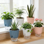 Self Watering Plant Pots 6 Inch, 6 Pack Indoor Planters with Wick Rope and Reservoir, Decorative Flower Pots for Spider Plant, Orchid, African Violet, Home Office Decor (2 White, 2 Pink, 2 Blue)